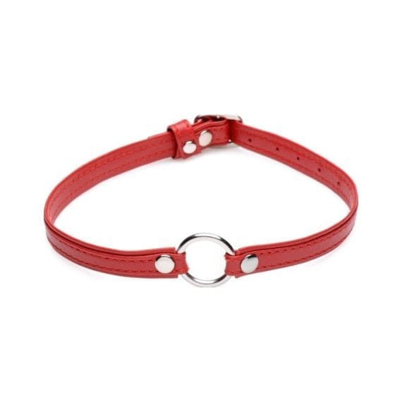 Fiery Pet Leather Choker w Silver Ring Red