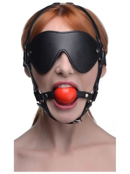 Blindfold Harness w Ball Gag