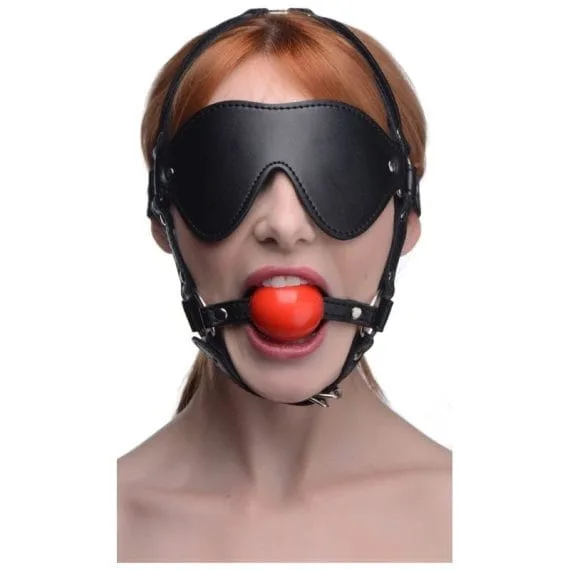 Blindfold Harness w Ball Gag