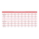 Dreamgirl Seamless Bodystocking Gown w Lace Pattern