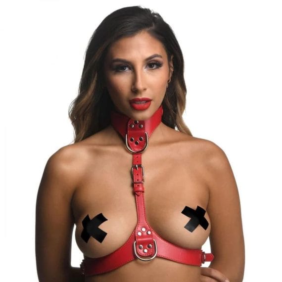Red Female Chest Harness S/M Red Female Chest Harness S/M
