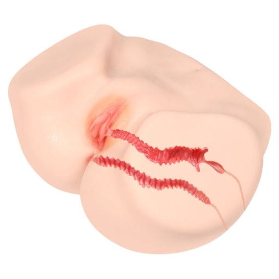 Vanilla Onahole Edn 4 Pussy and Ass 1:1 Torso