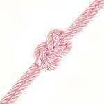 Rebellion Reign Rose 10m Silky Bondage Rope Pink