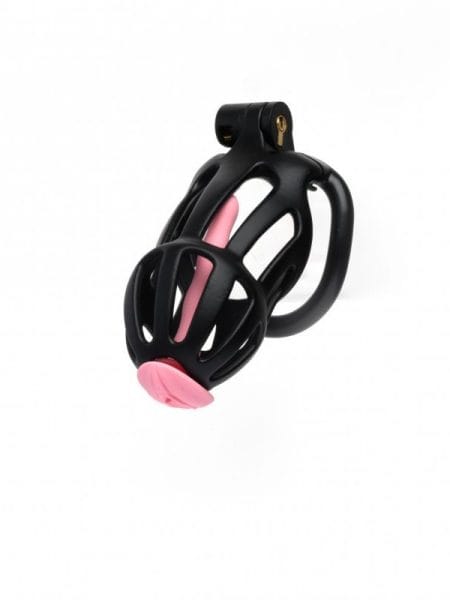 Centurion Size 2 Cock Cage with Pussification Plug