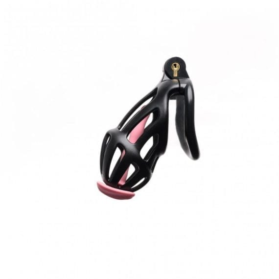 Centurion Size 2 Cock Cage with Pussification Plug